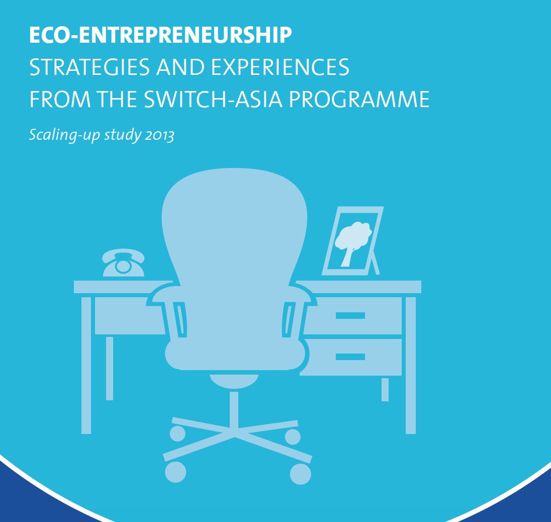 Eco Entrepreneurship Strategies And Experiences From The Switch Asia