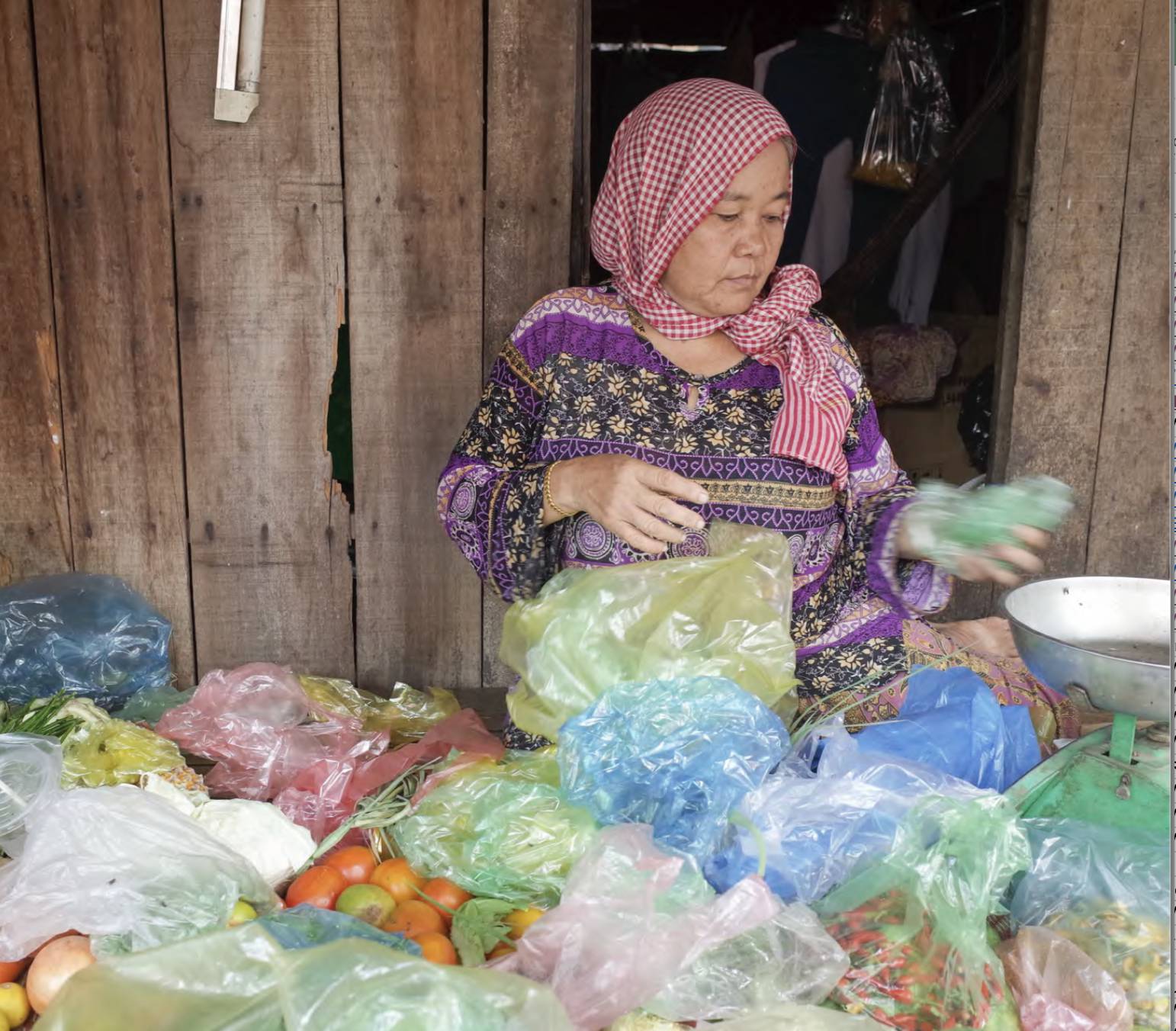 Excess Baggage: Reducing Plastic Bag Waste in  Cambodia, Policy Recommendations