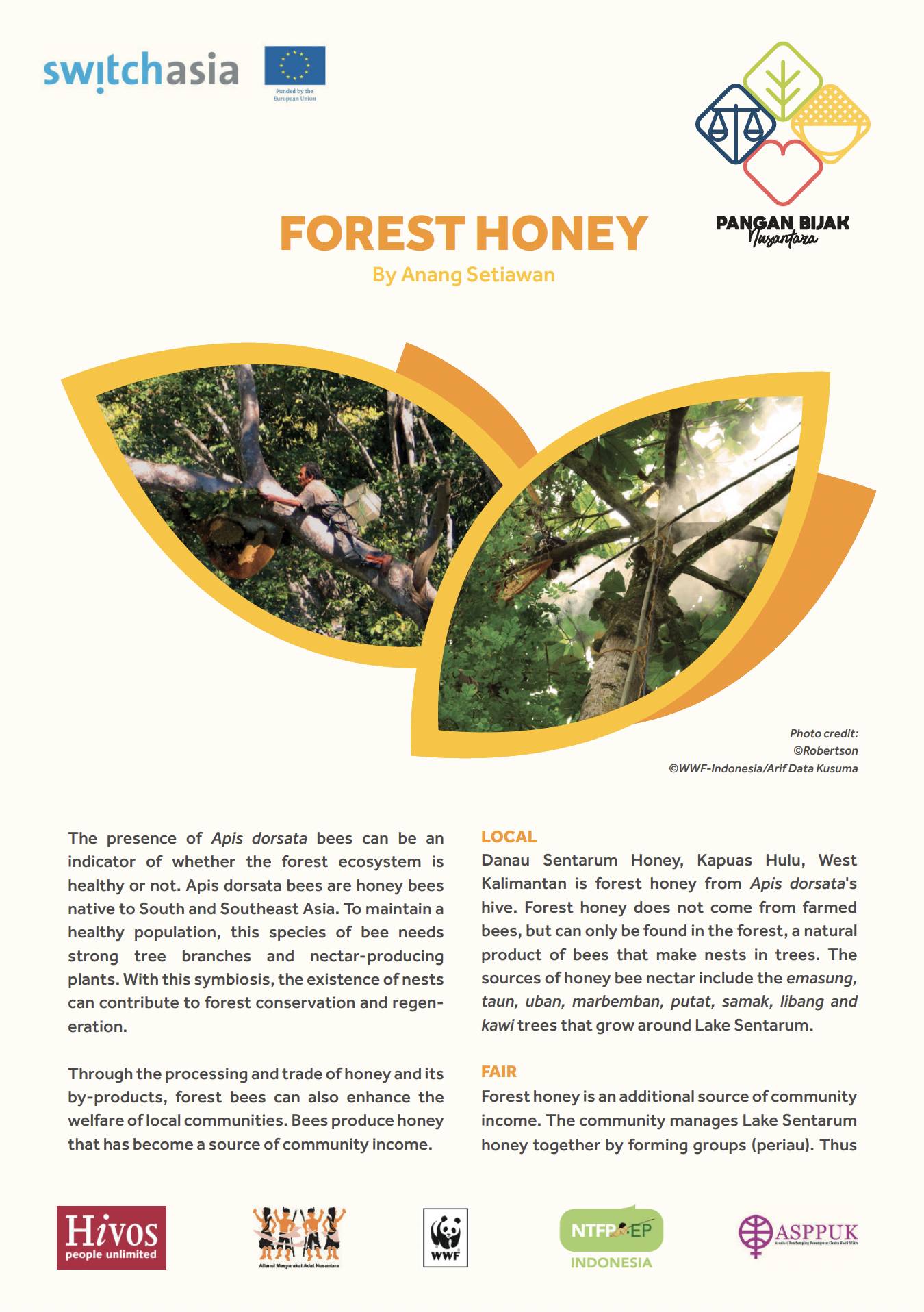 Forest Honey Brochure