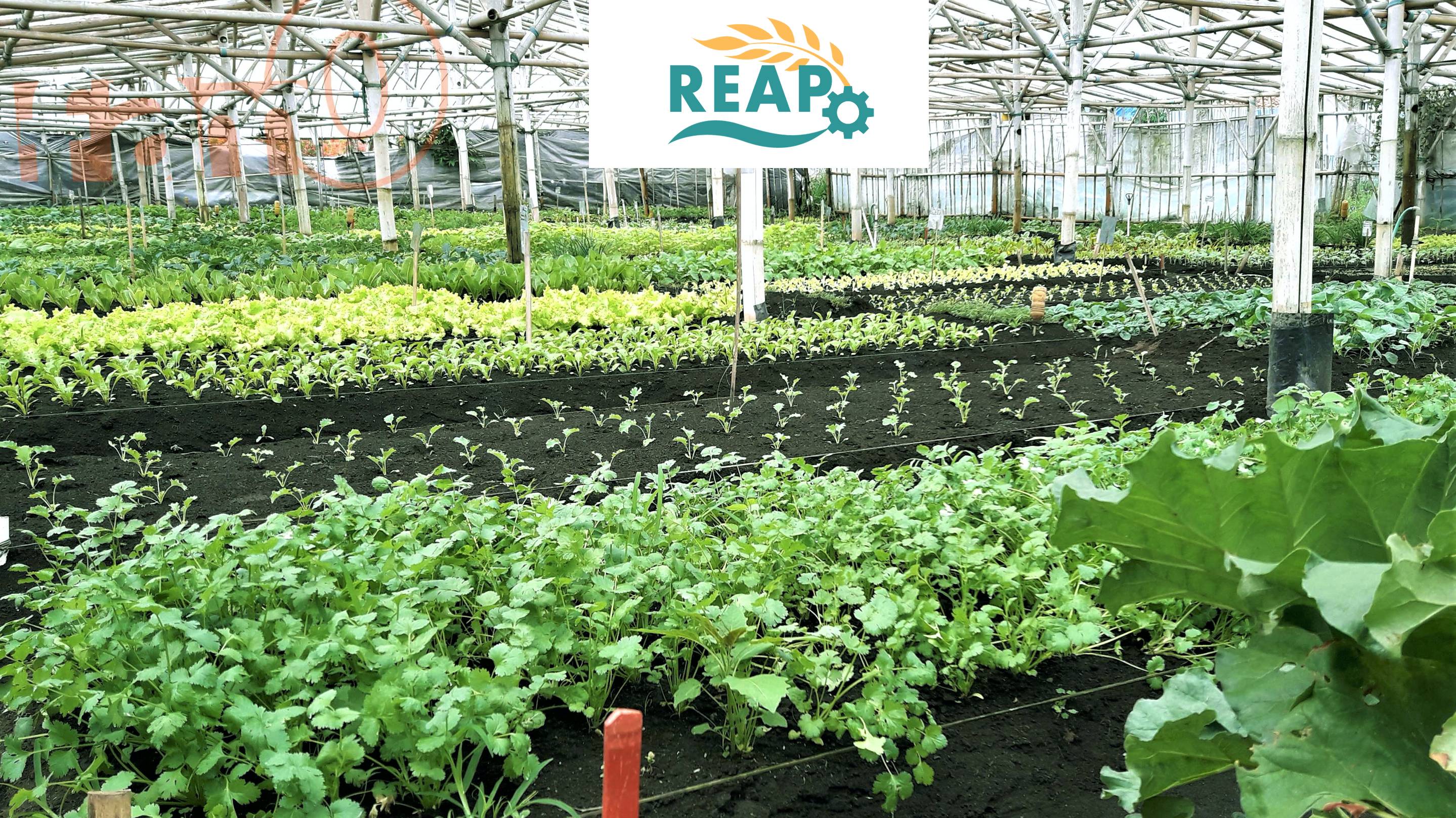 REAP