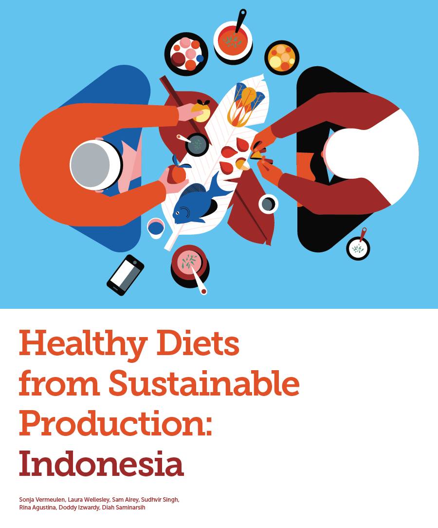 Healthy Diets from Sustainable Production: Indonesia