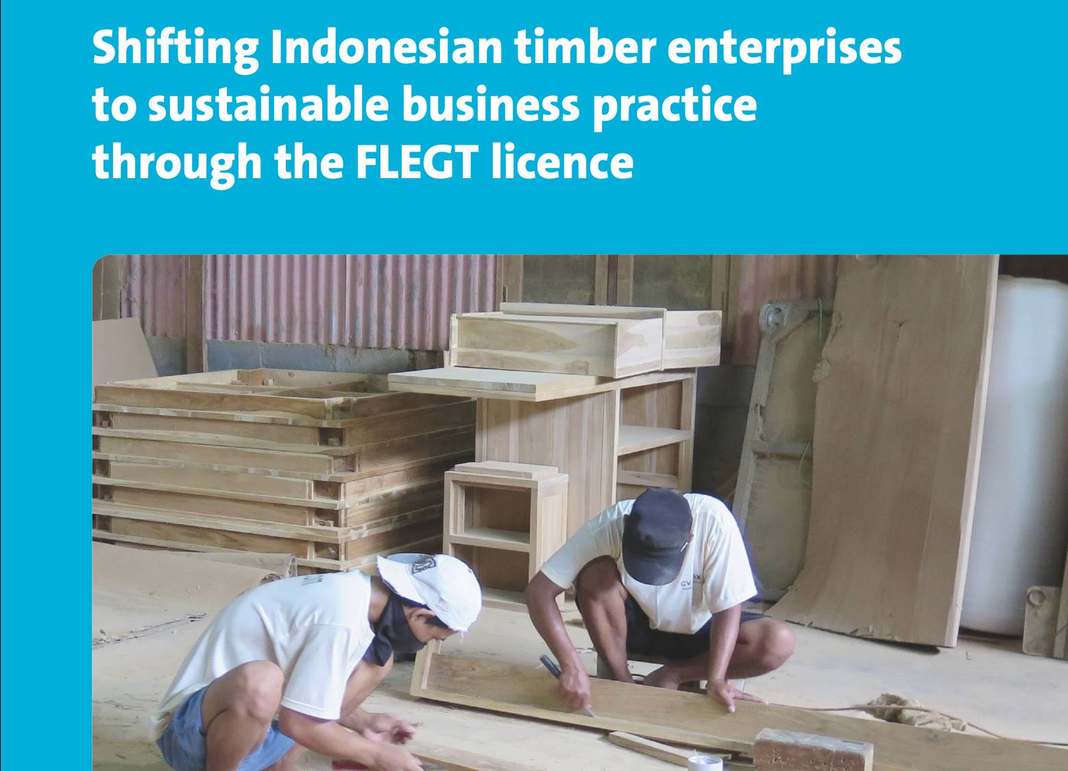 Impact Sheet: Timber Indonesia