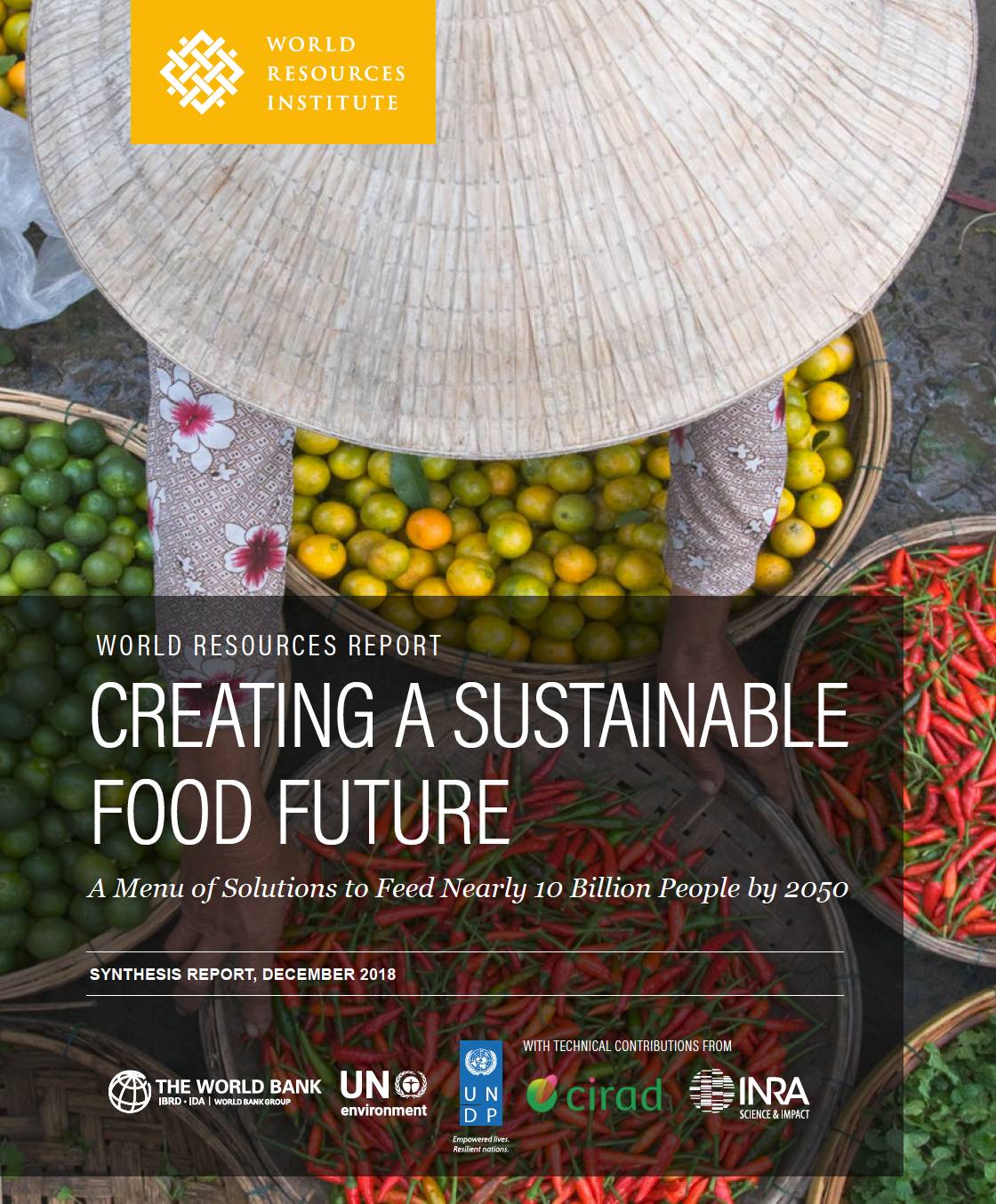 Creating a Sustainable Food Future