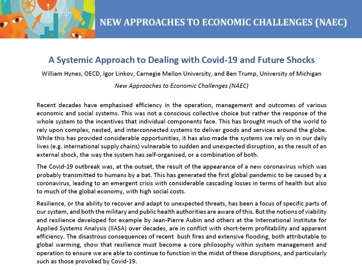 A Systemic Approach to Dealing with Covid-19 and Future Shocks