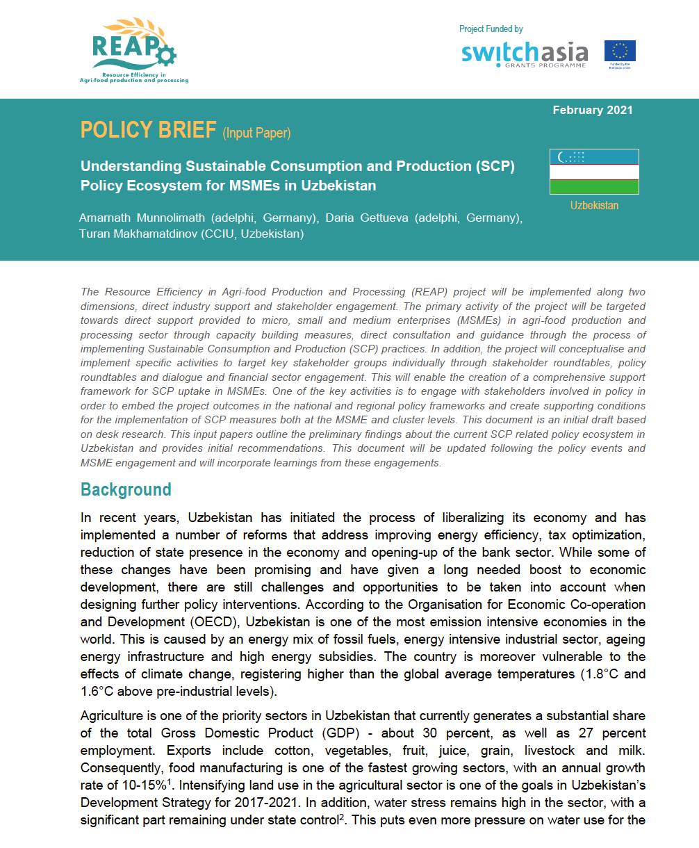 Policy Brief: Understanding SCP Policy Ecosystem for MSMEs in Uzbekistan