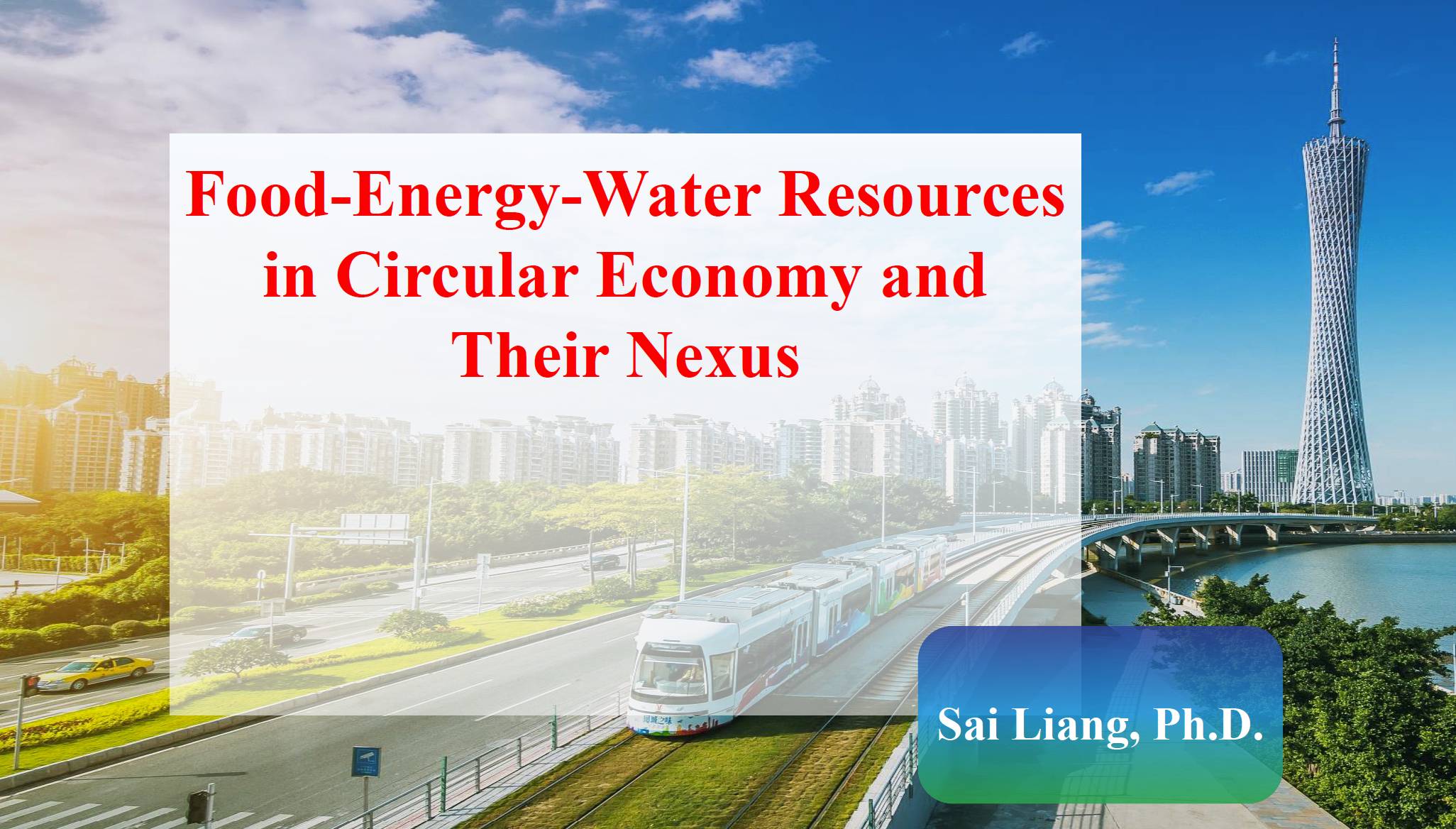 Food Energy Water Resources in Circular Economy and Their Nexus
