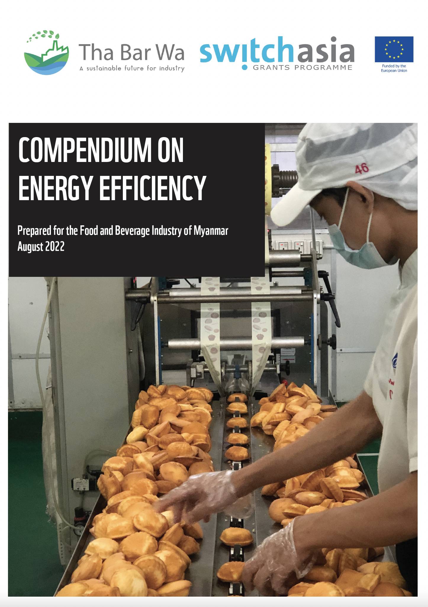 Compendium on Energy Efficiency