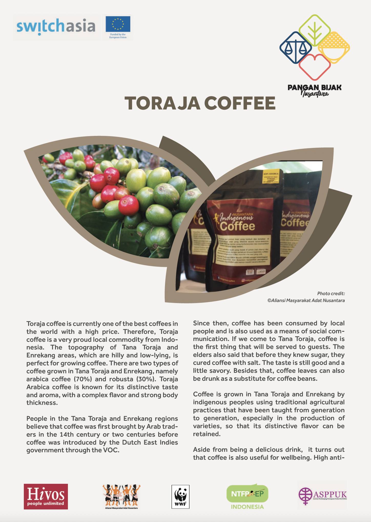 Torah Coffee Brochure