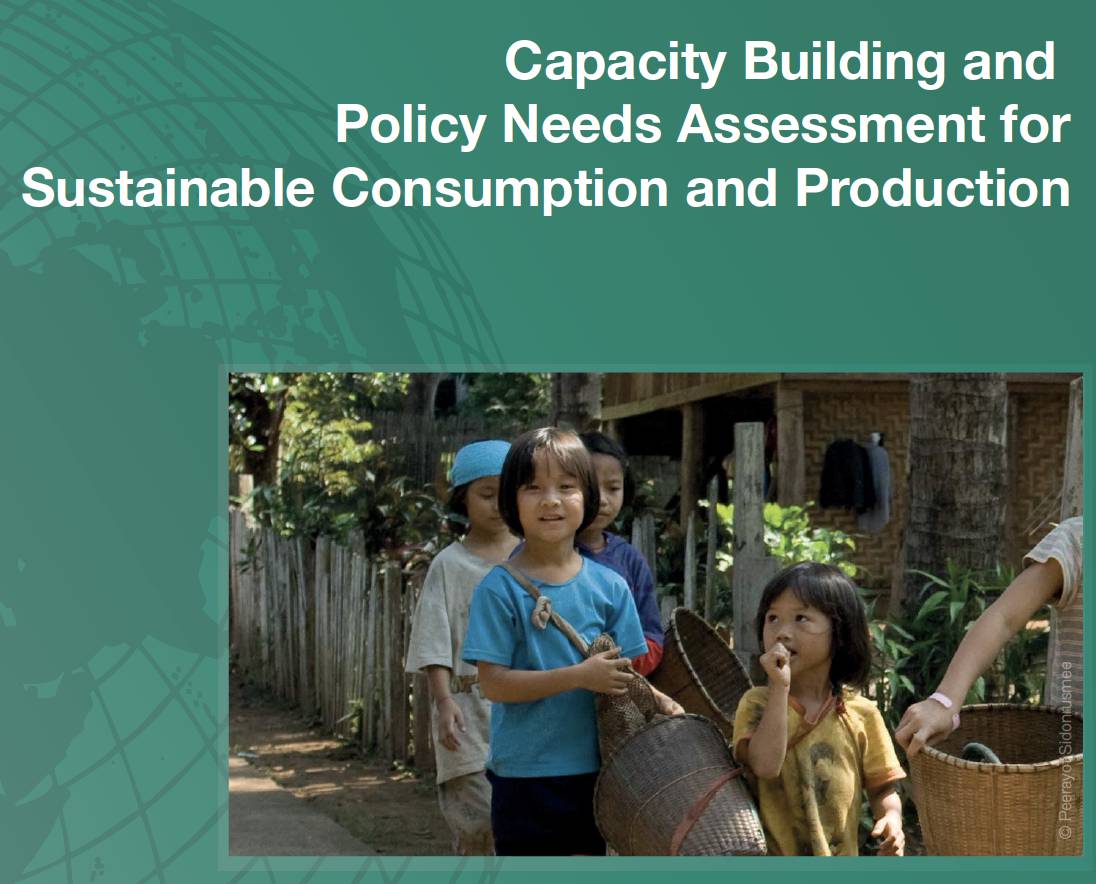 Capacity Building and Policy Needs Assessment for Sustainable Consumption and Production