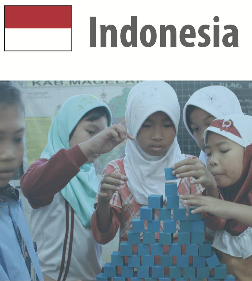 Natural Resource Use Indicators in the SDGs - Indonesia