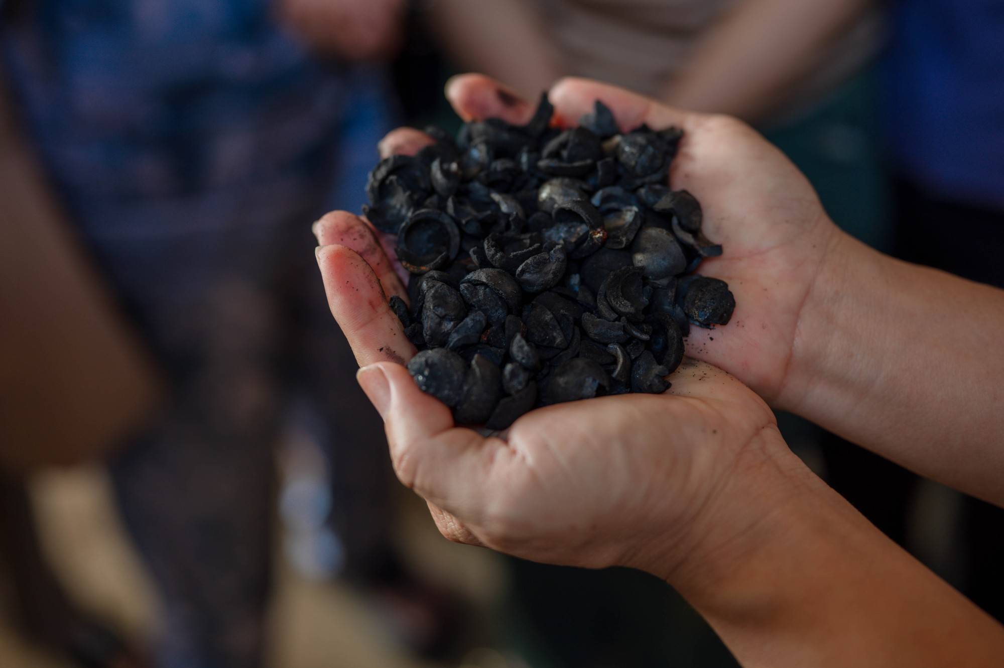 Circular Economy Cocoa: From Bean to Bar