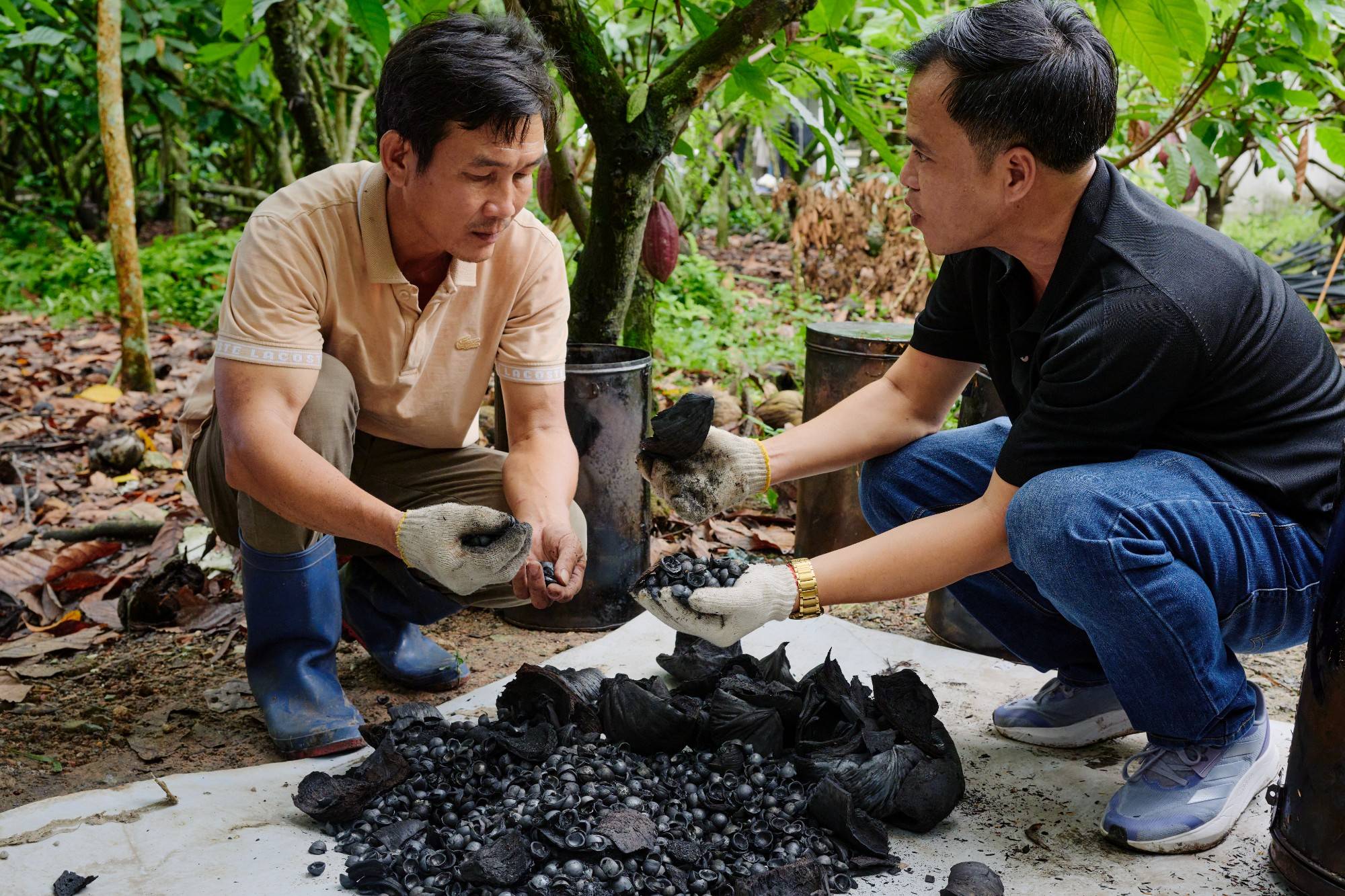 Circular Economy Cocoa: From Bean to Bar