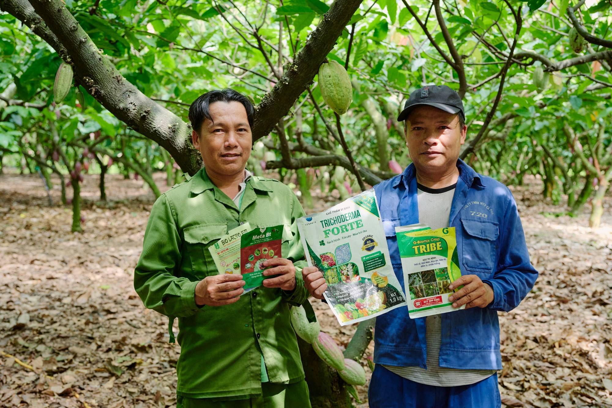 Circular Economy Cocoa: From Bean to Bar