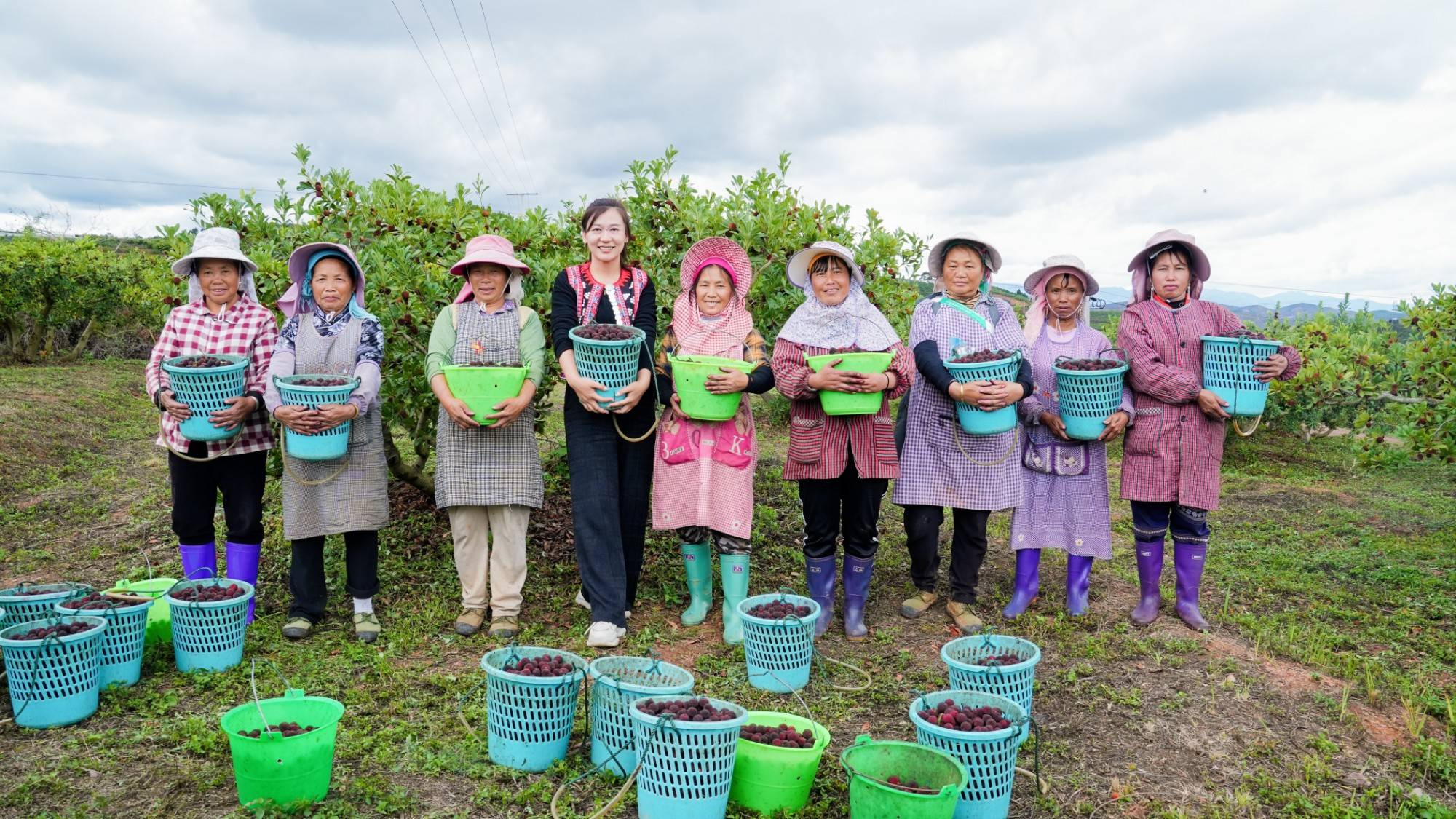 Supporting Scheme for MSMEs by Building Sustainable Agricultural Fresh Food Production and Logistics in China (SAFE)