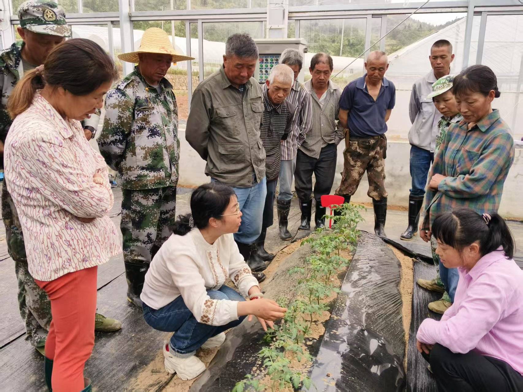 Supporting Scheme for MSMEs by Building Sustainable Agricultural Fresh Food Production and Logistics in China (SAFE)