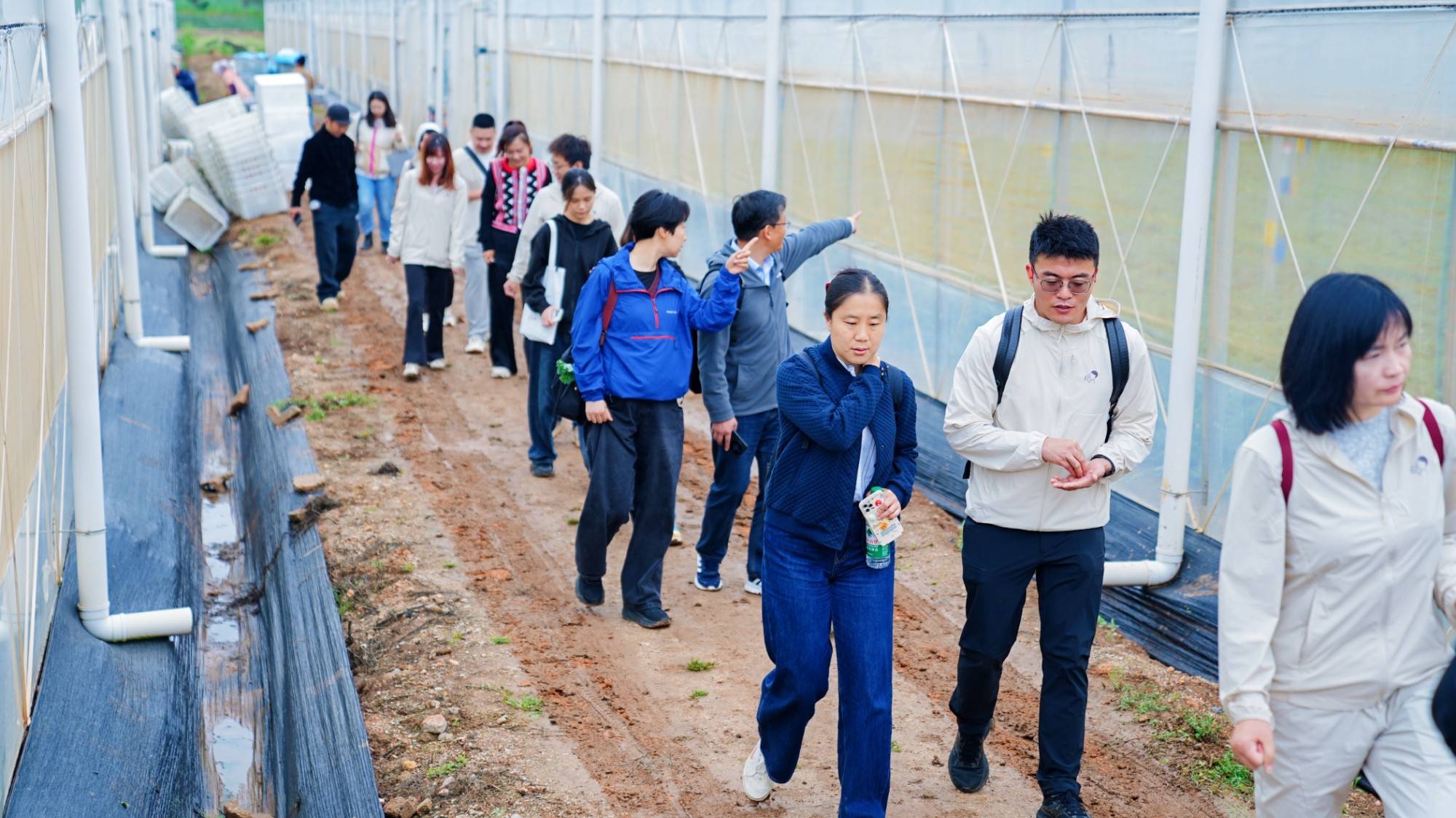 Supporting Scheme for MSMEs by Building Sustainable Agricultural Fresh Food Production and Logistics in China (SAFE)