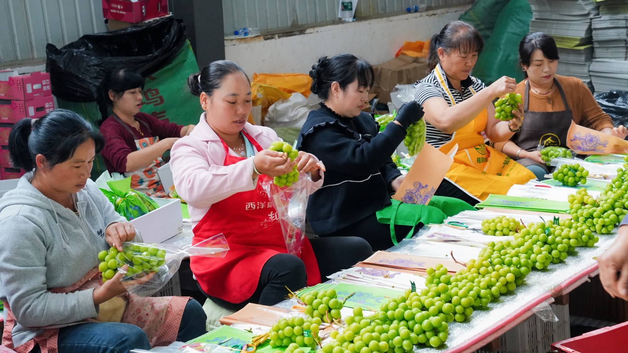 Supporting Scheme for MSMEs by Building Sustainable Agricultural Fresh Food Production and Logistics in China (SAFE)