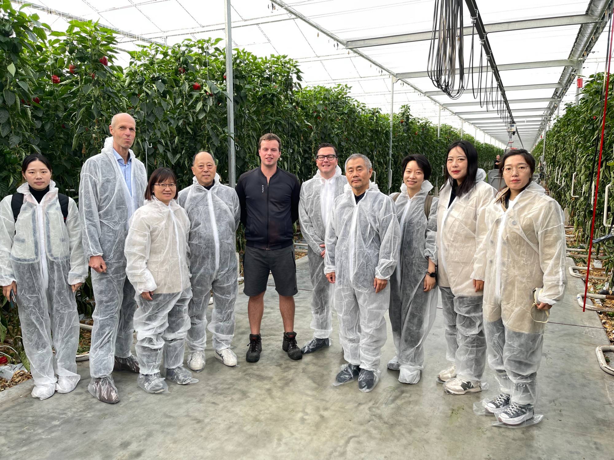 Supporting Scheme for MSMEs by Building Sustainable Agricultural Fresh Food Production and Logistics in China (SAFE)