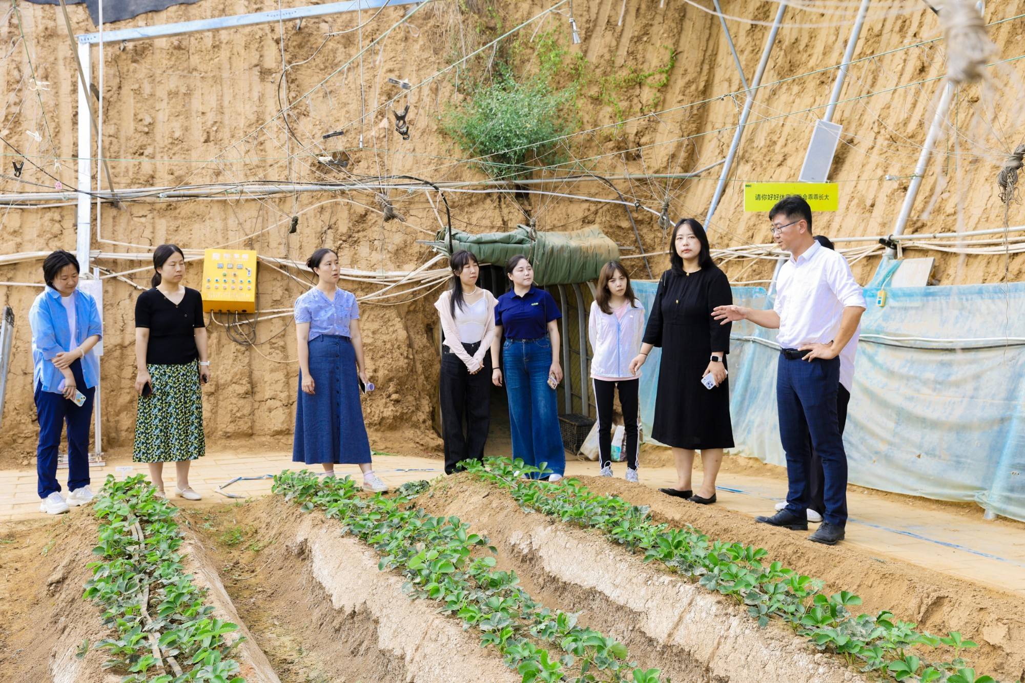 Supporting Scheme for MSMEs by Building Sustainable Agricultural Fresh Food Production and Logistics in China (SAFE)