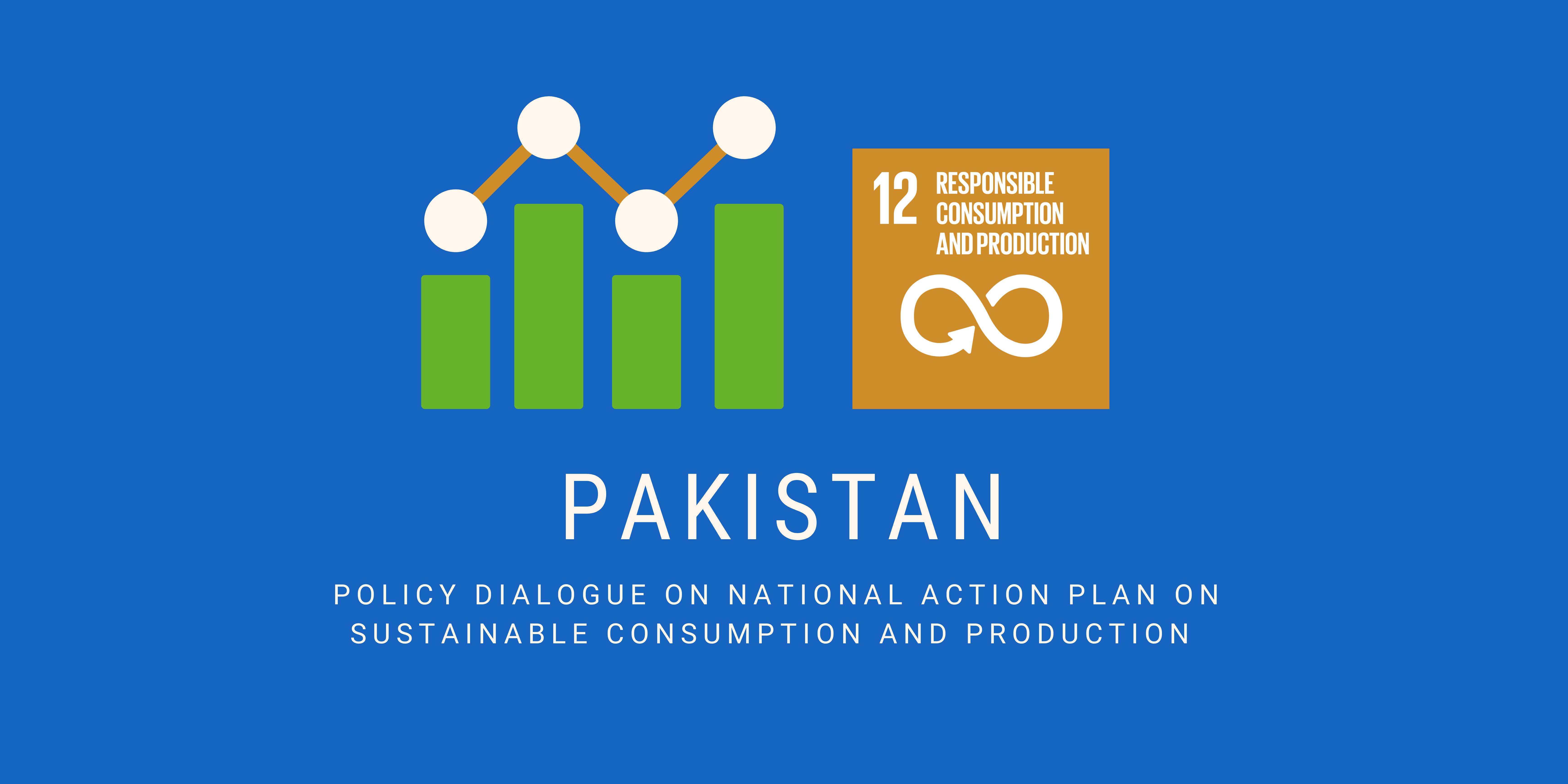 Data collection on SDG 12 key to monitoring overconsumption trends and taking actions to reduce carbon emissions in Pakistan