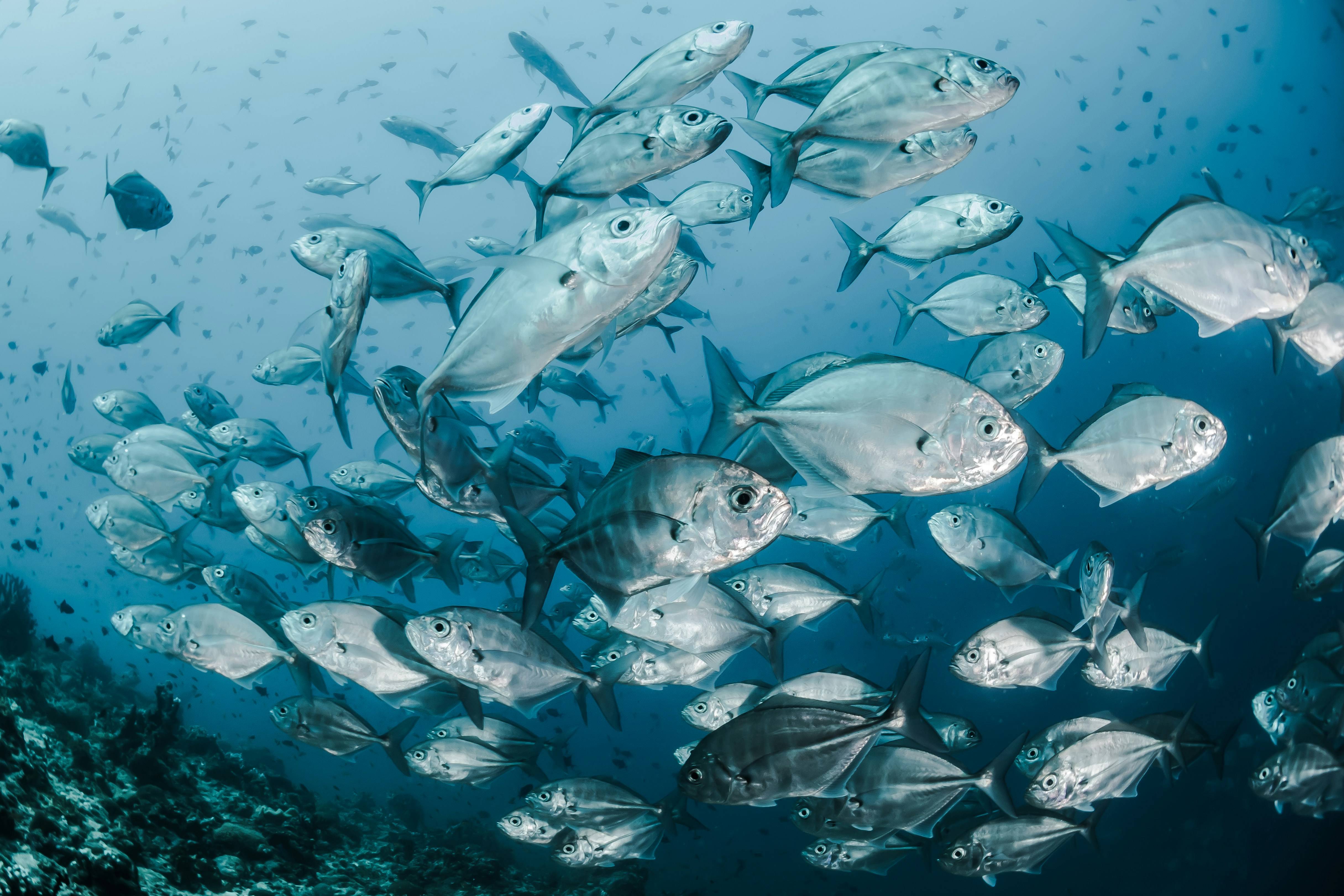Tuvalu