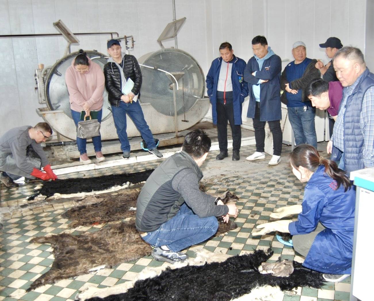 Yak Leather Industry in Mongolia taking steps towards sustainability