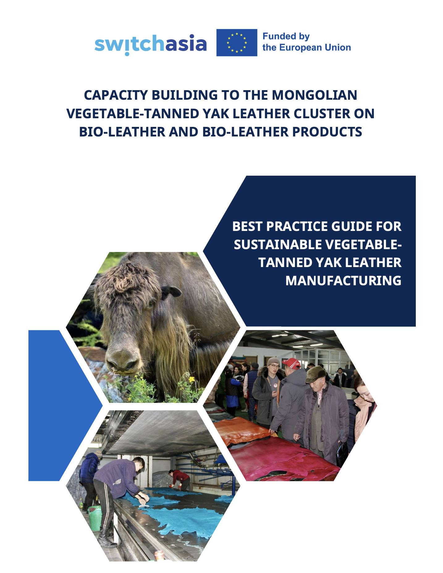 Best Practice Guide for Sustainable Vegetable-Tanned Yak Leather Manufacturing
