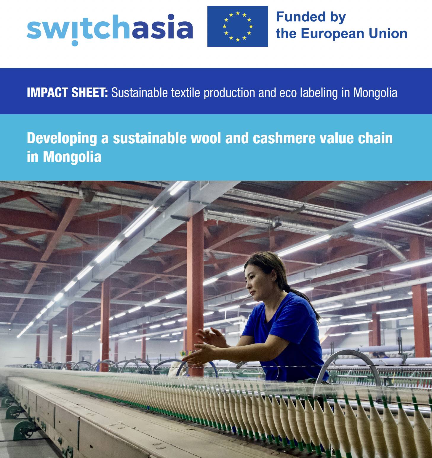 Impact Sheet: Sustainable textile production and eco labeling in Mongolia