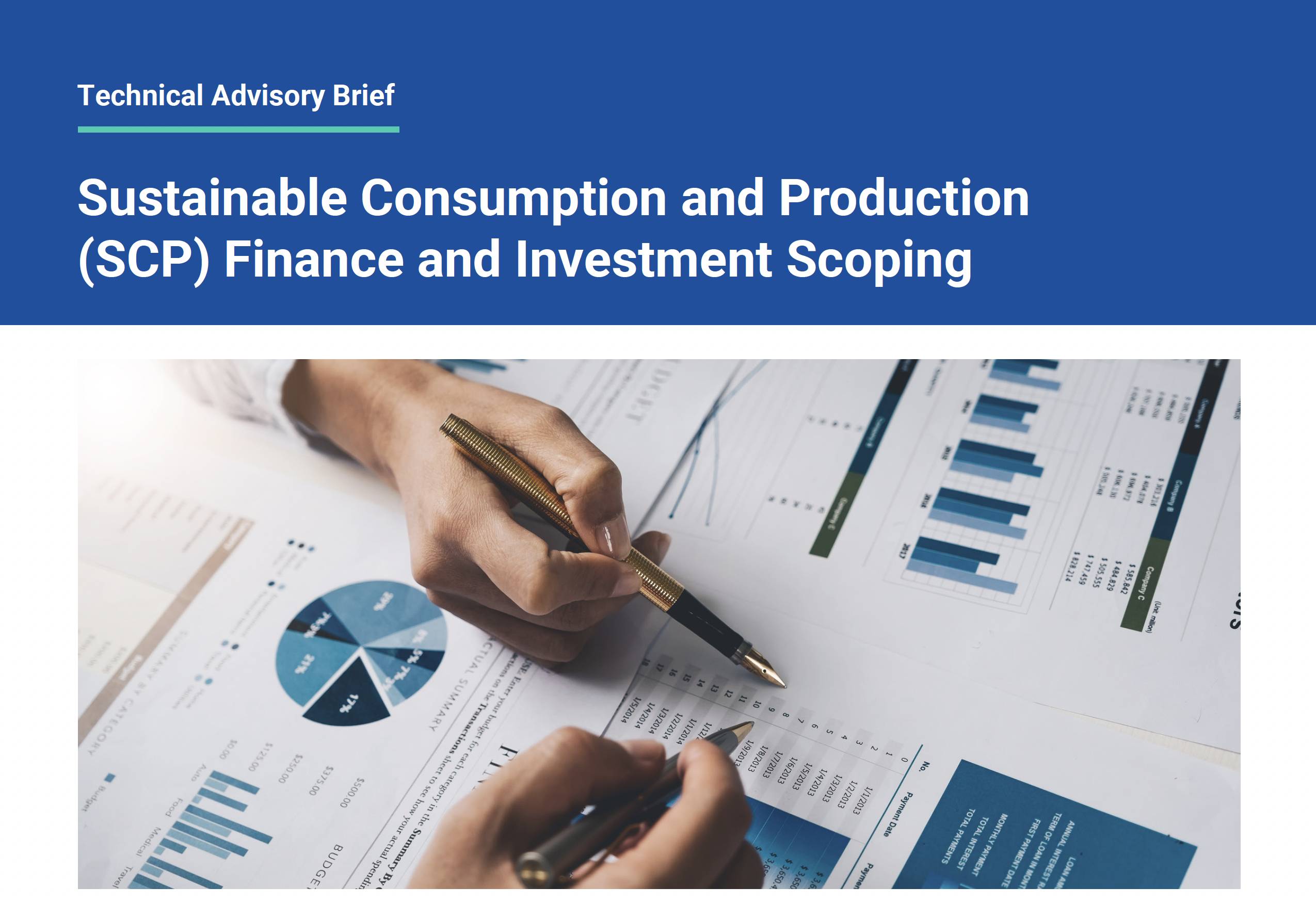 Sustainable Consumption and Production (SCP) Finance and Investment Scoping