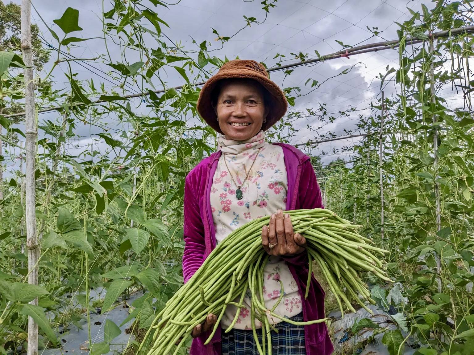 Harvesting Sunshine: Ms. Nop Kolap's Solar-Power Journey in Pursat Province, Cambodia