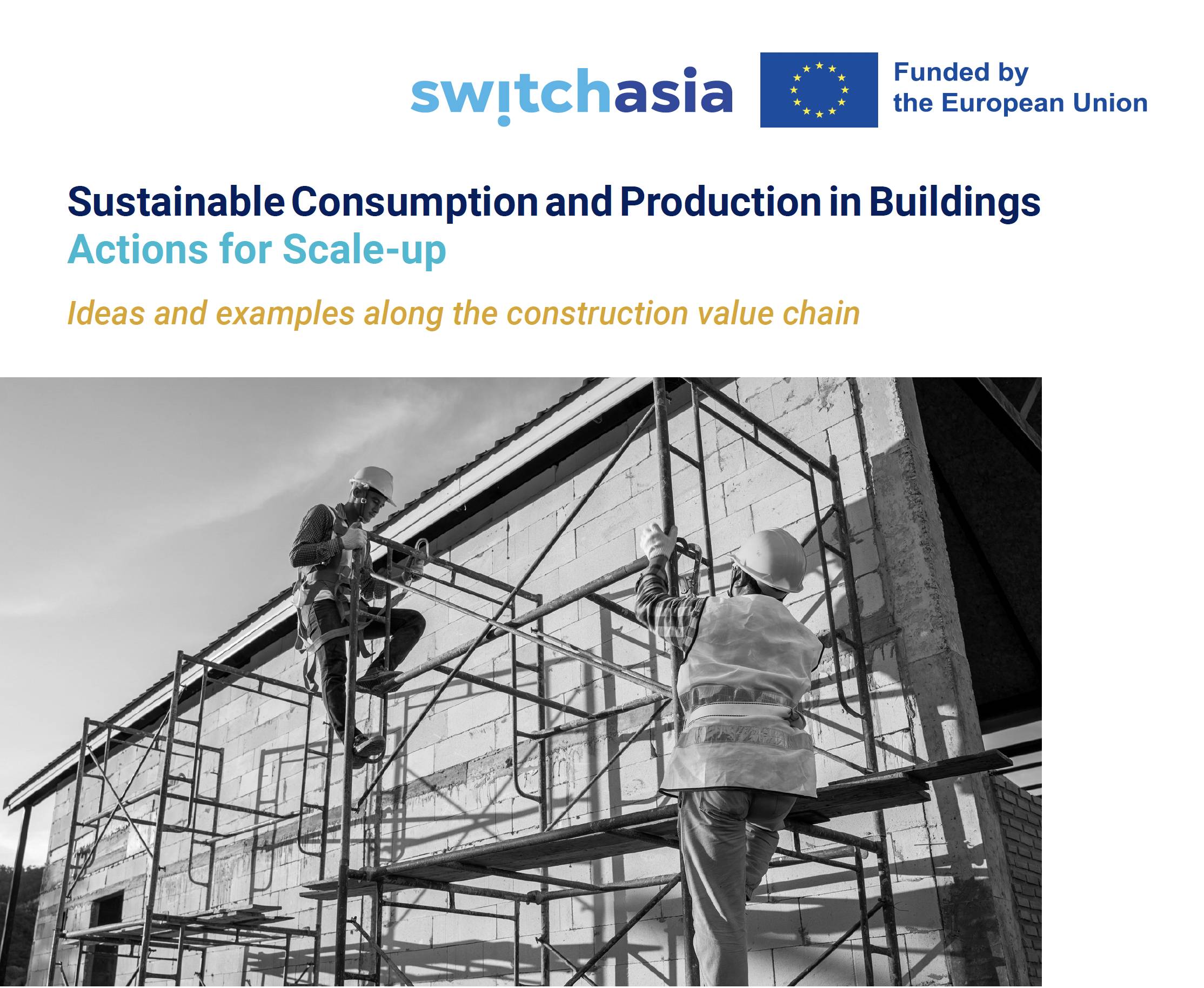 Sustainable Consumption and Production in Buildings: Actions for Scale-up