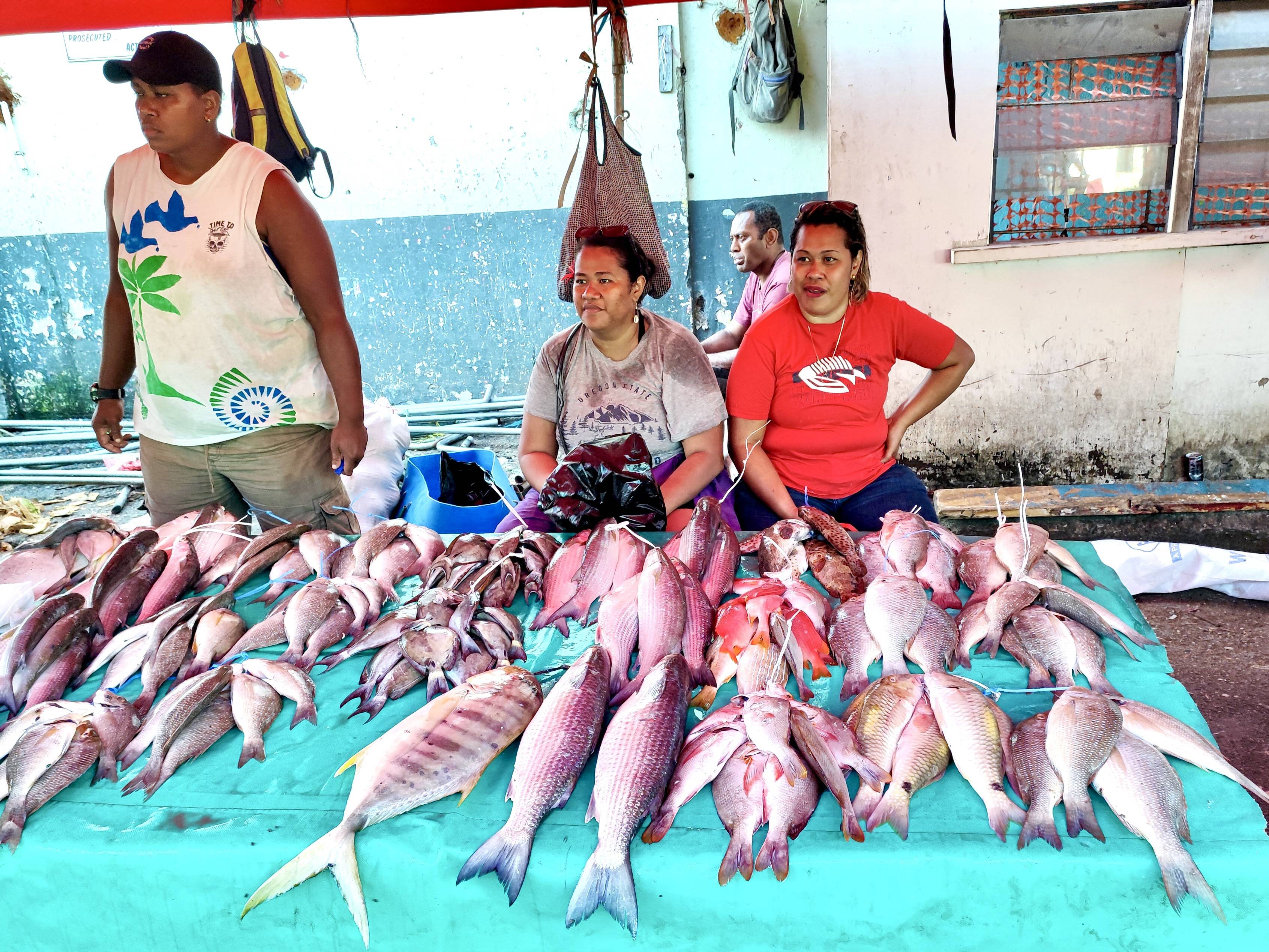 Fiji Blue Fishing