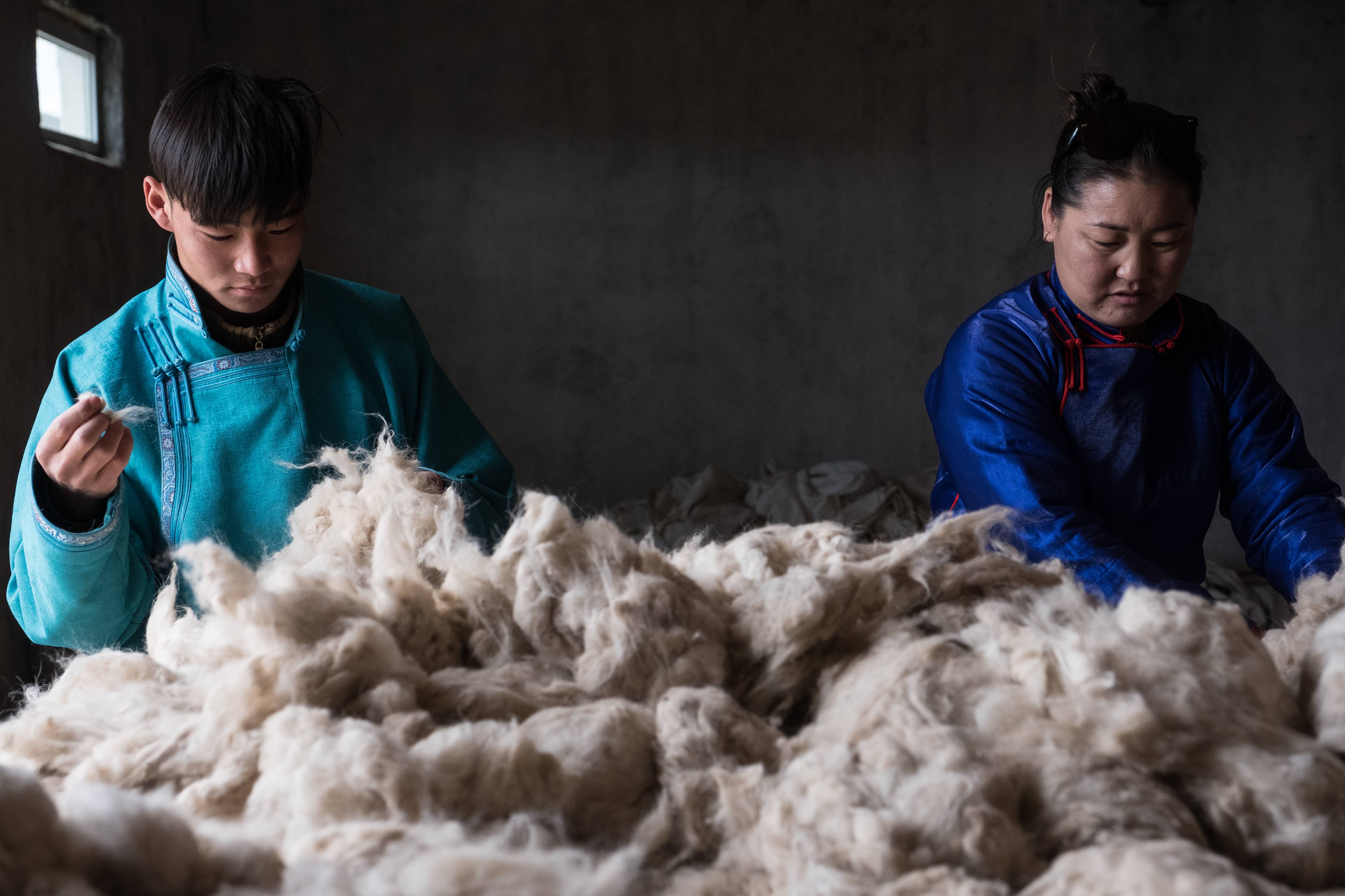 STeP EcoLab II: Sustainable Textile Production and Eco-Labelling in Mongolia