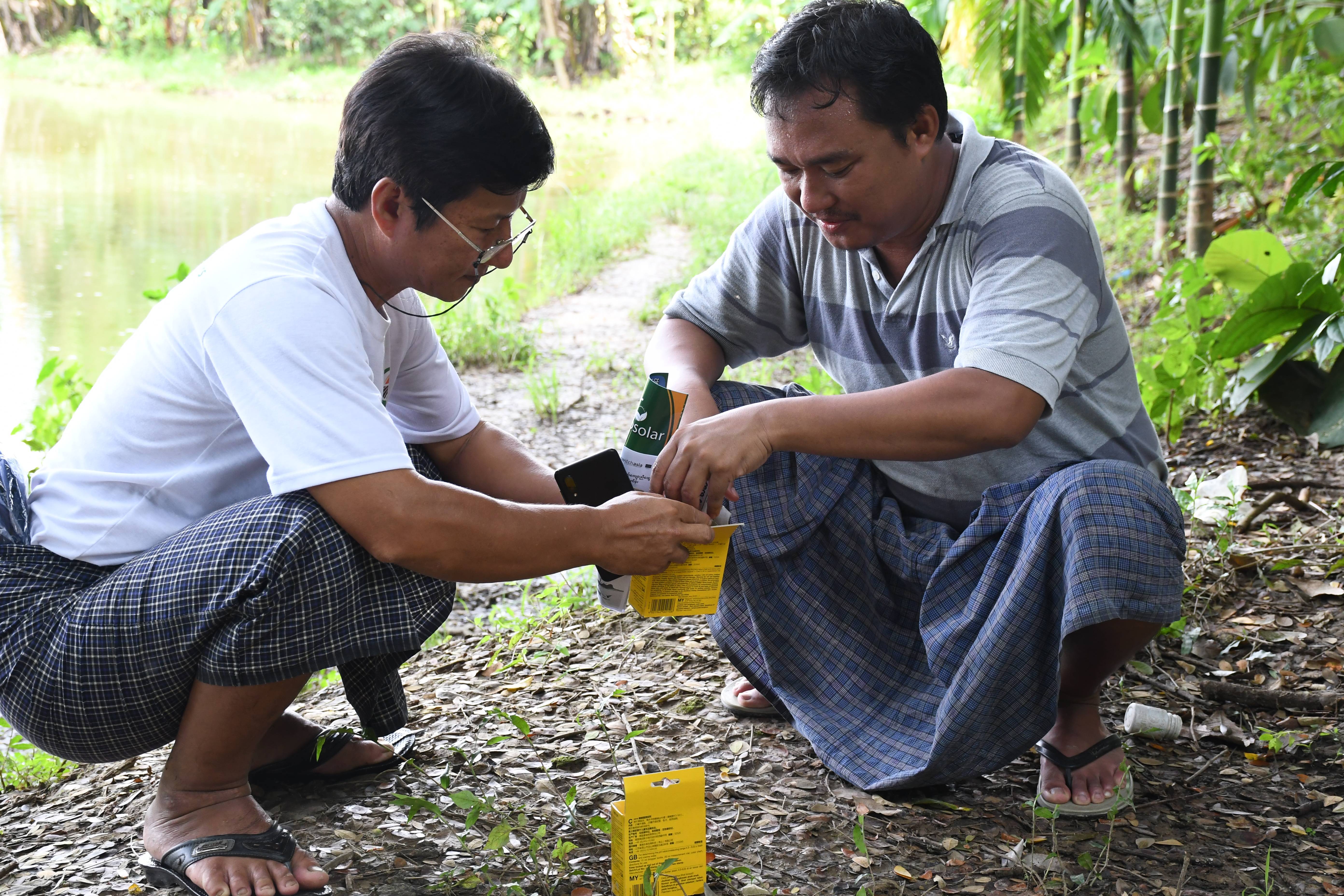 Sein-Lan Myanmar: Strengthening Circular Economy in Animal Feed Value Chain in Myanmar