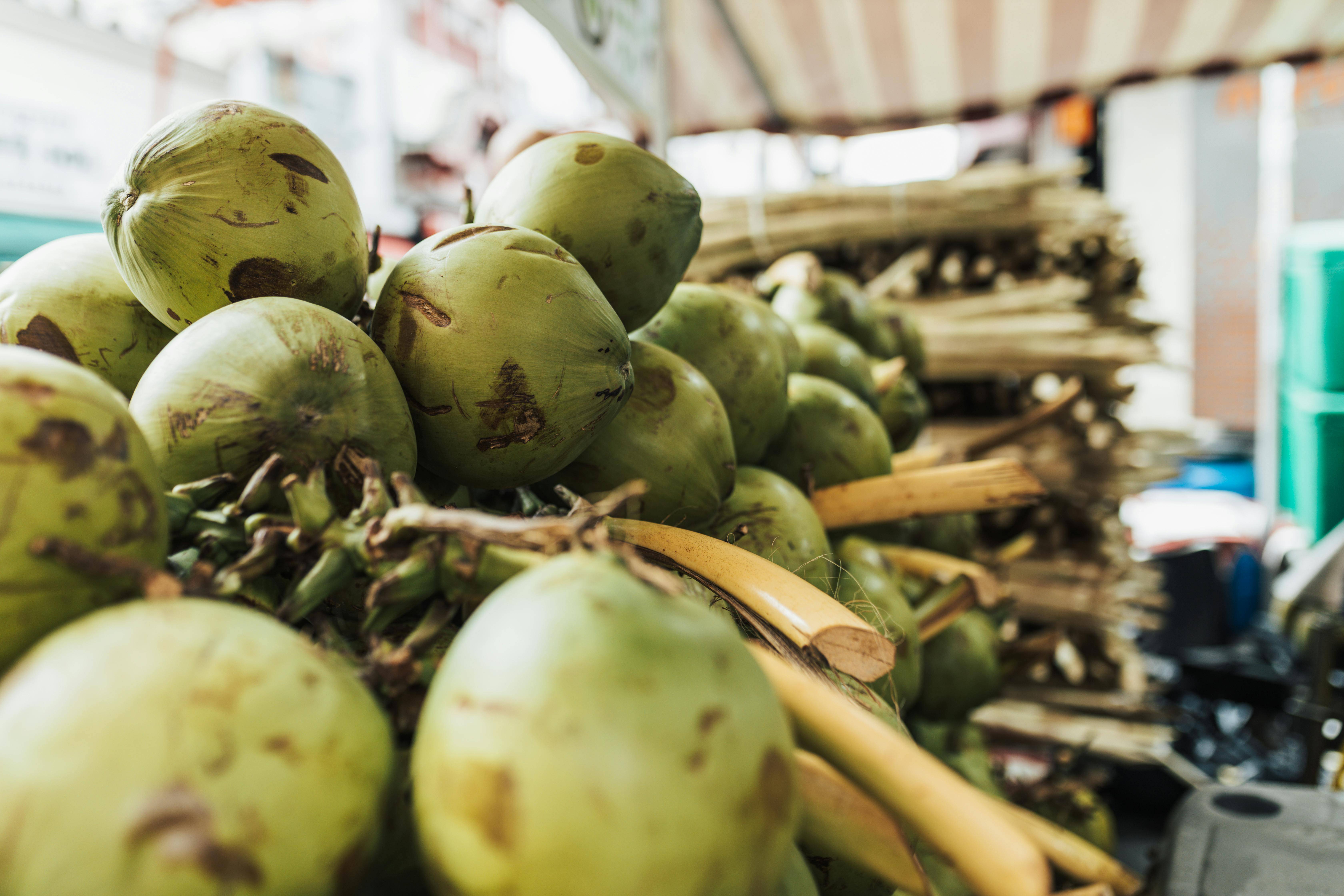 SWITCH Maguindanao:  Transforming Coconut MSMEs into Circular, Sustainable and Inclusive Social Enterprises