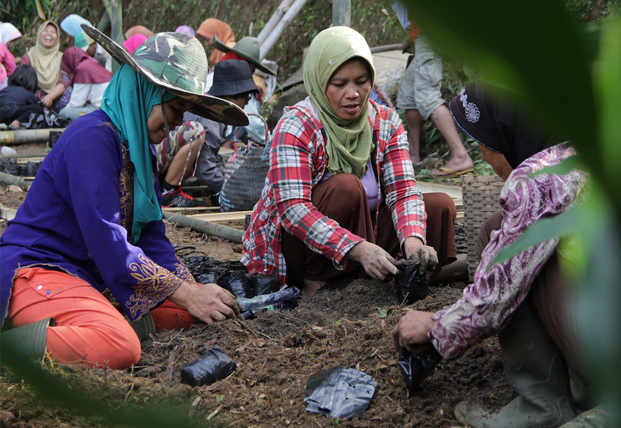 ACT! Accelerating Consumer Transformation and Sustainability in Indonesia
