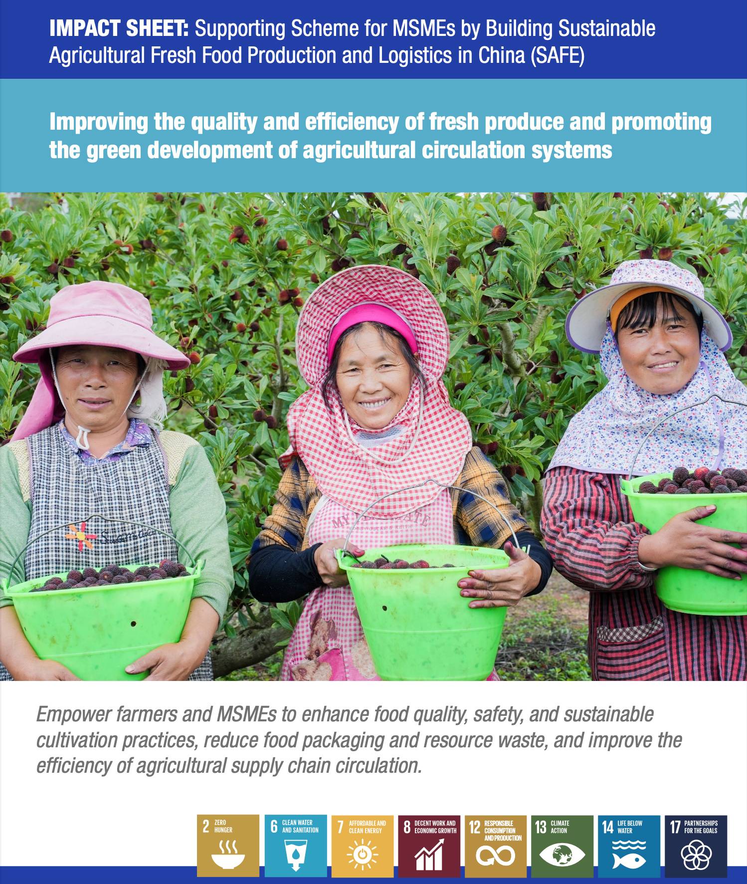 Impact Sheet: Supporting Scheme for MSMEs by Building Sustainable Agricultural Fresh Food Production...
