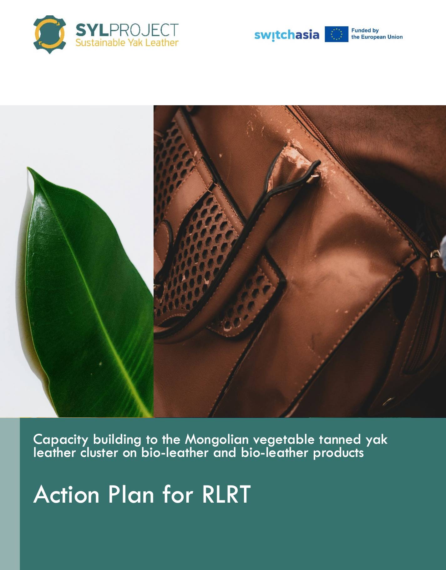 Action Plan for RLRT: Capacity building to the Mongolian vegetable tanned yak leather cluster on bio...