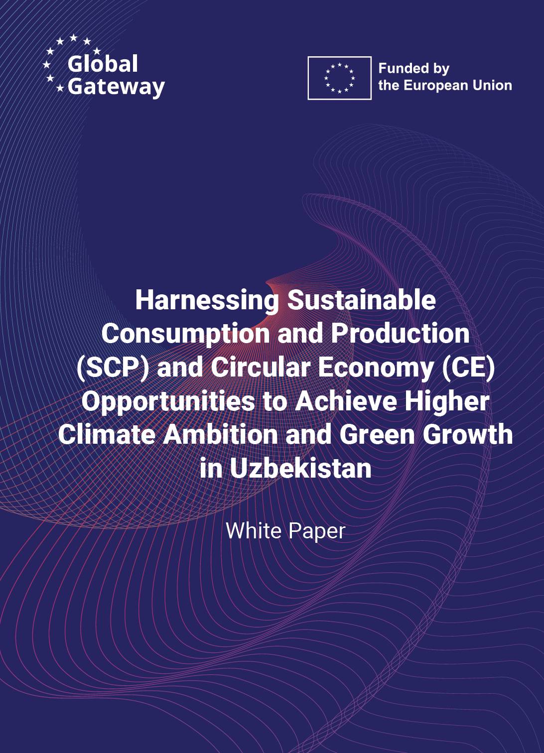 Harnessing Sustainable Consumption and Production and Circular Economy Opportunities to Achieve High...4674